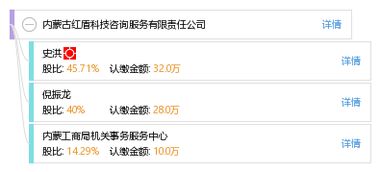 信息技術(shù)咨詢服務(wù) 內(nèi)蒙古紅盾科技咨詢服務(wù)有限責(zé)任公司的專業(yè)優(yōu)勢